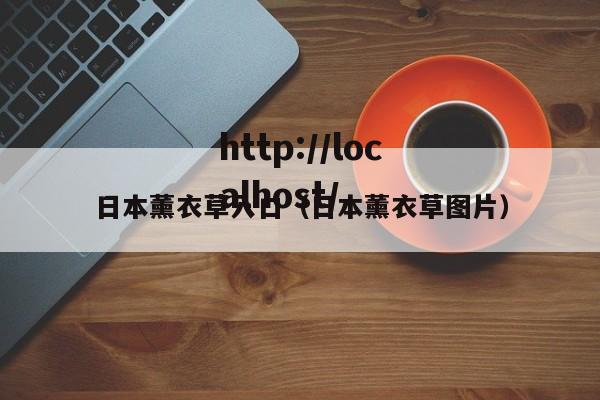 日本薰衣草入口（日本薰衣草图片）